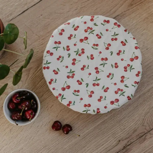 Conservation Alimentaire